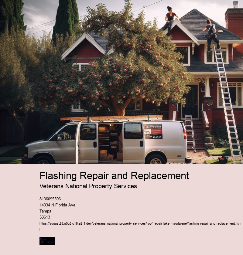 Flashing Repair and Replacement