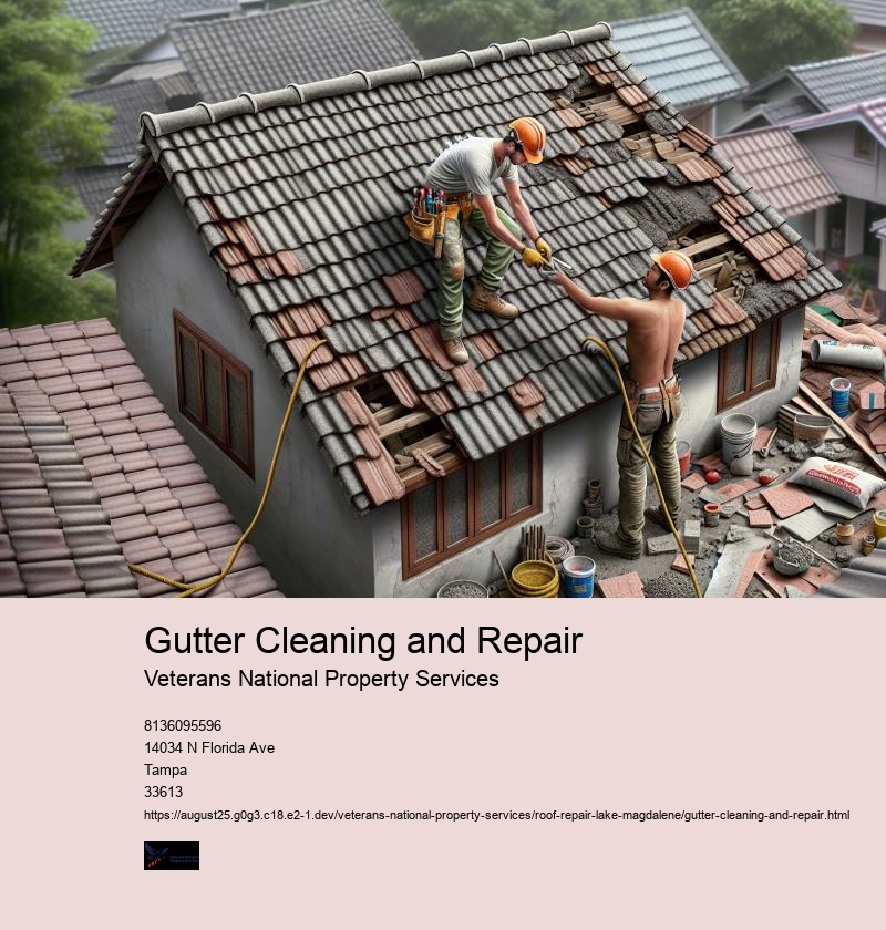 Gutter Cleaning and Repair