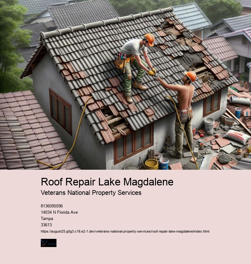 Roof Repair Lake Magdalene