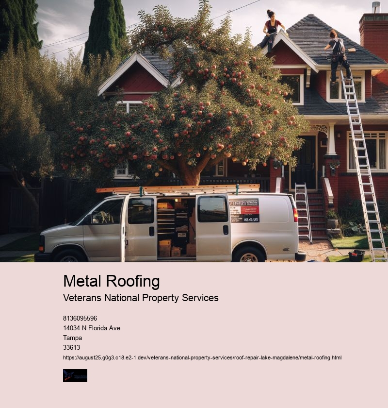 Metal Roofing