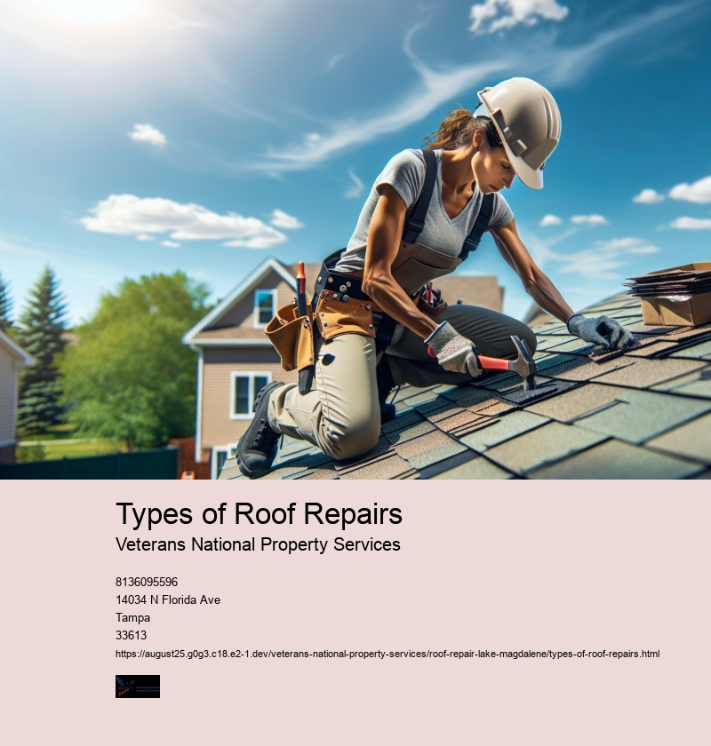 Types of Roof Repairs