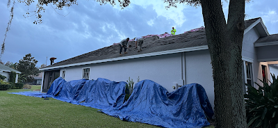 Navigating Lake Magdalenes Permitting Process for Roof Repairs