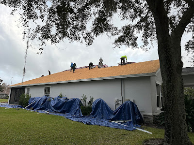 Dealing with Roof Leaks and Punctures